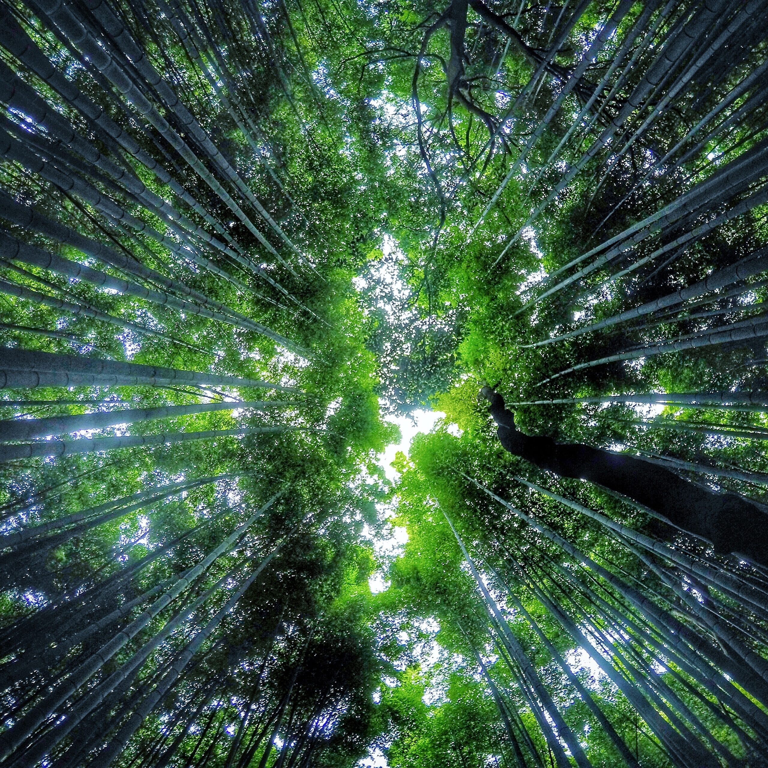 Shiga